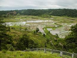 placeimg