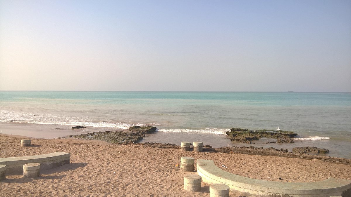 placeimg