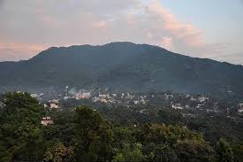 placeimg