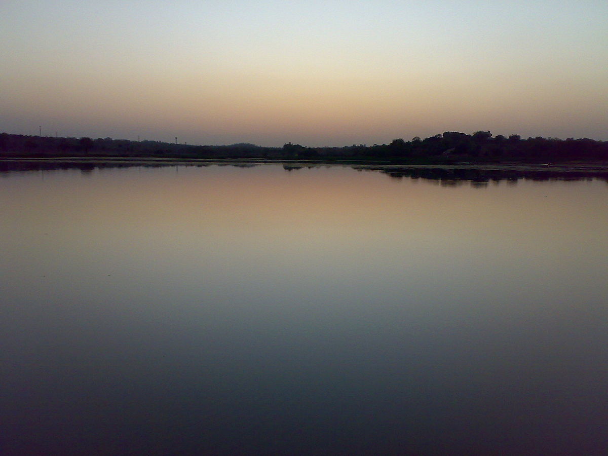 placeimg