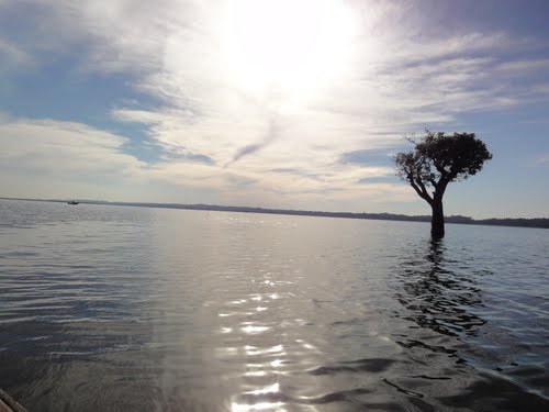 placeimg