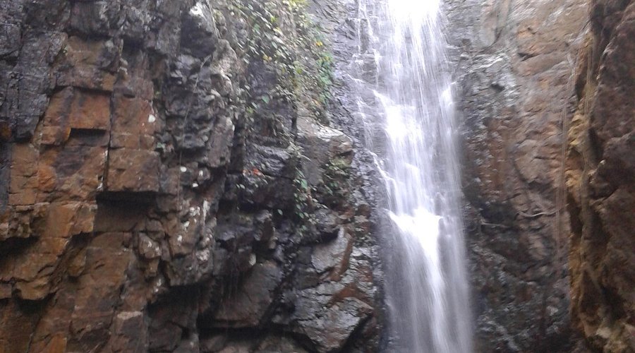 placeimg