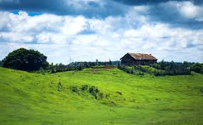 placeimg