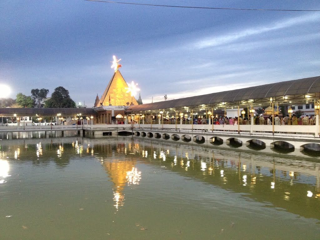 placeimg