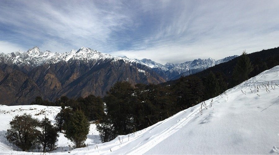 placeimg