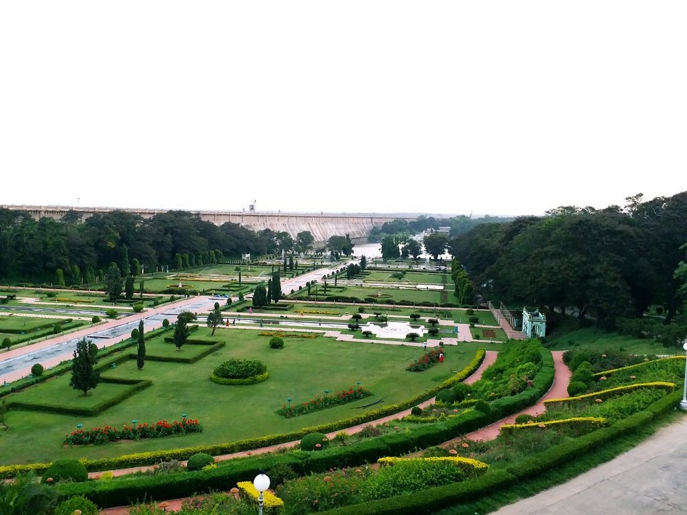 placeimg