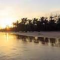 placeimg
