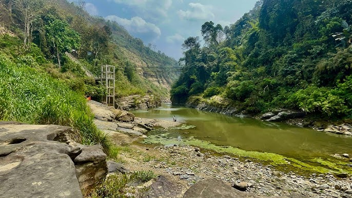 placeimg