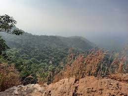 placeimg