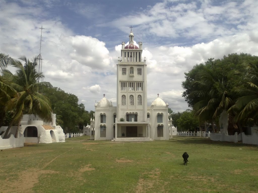 placeimg