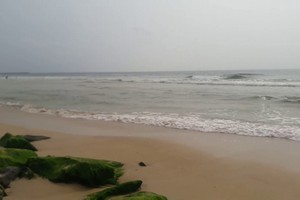 placeimg