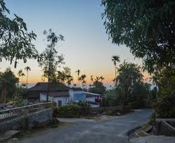 placeimg