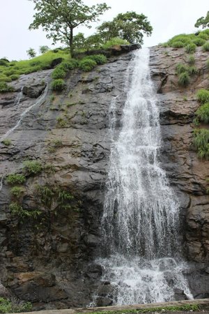 placeimg