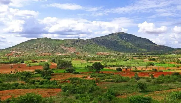 placeimg
