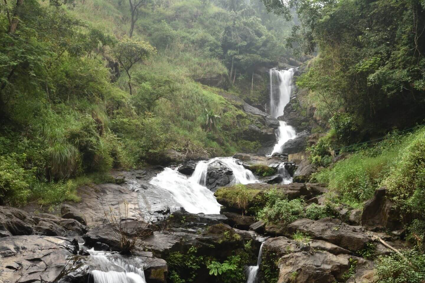 placeimg