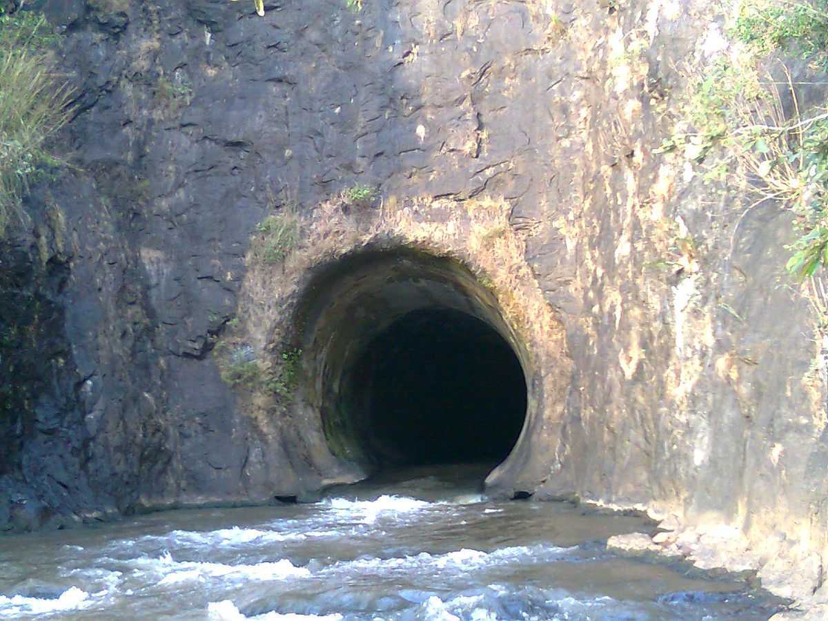 placeimg