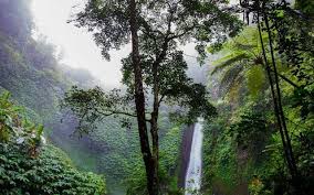 placeimg