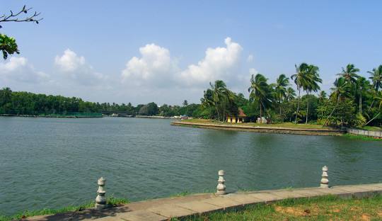 placeimg