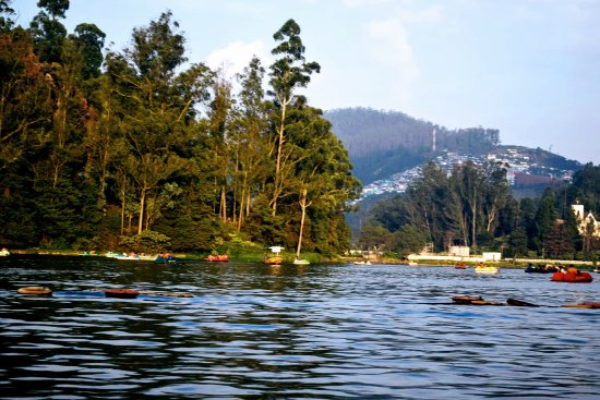 placeimg