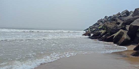 placeimg