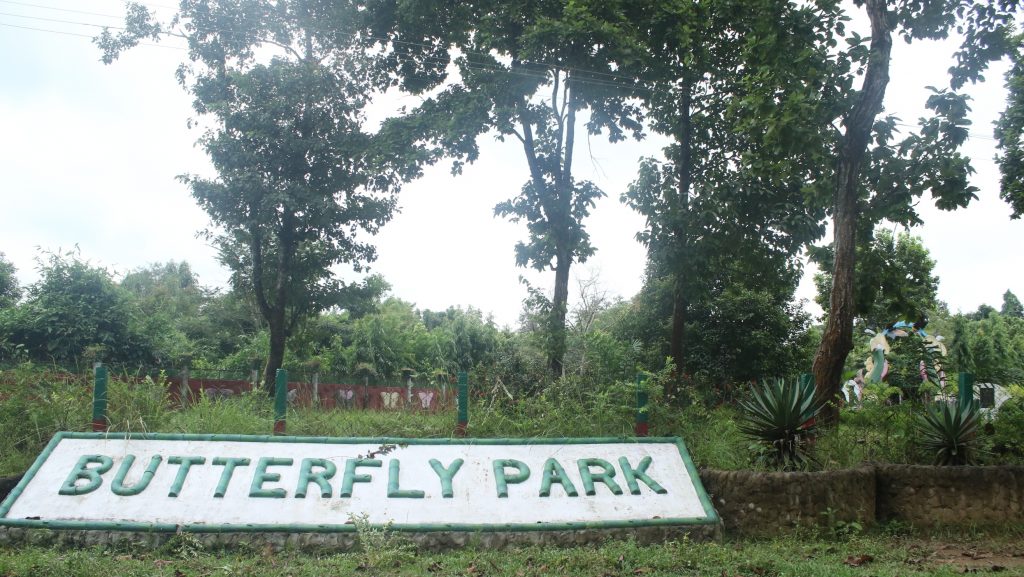 placeimg