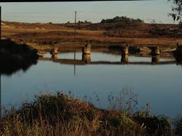 placeimg