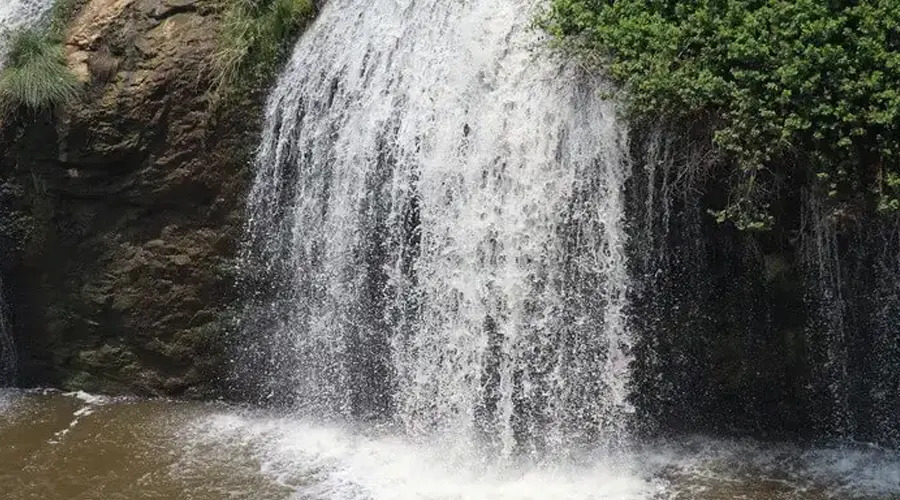 placeimg