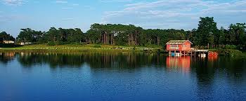 placeimg