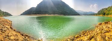 placeimg