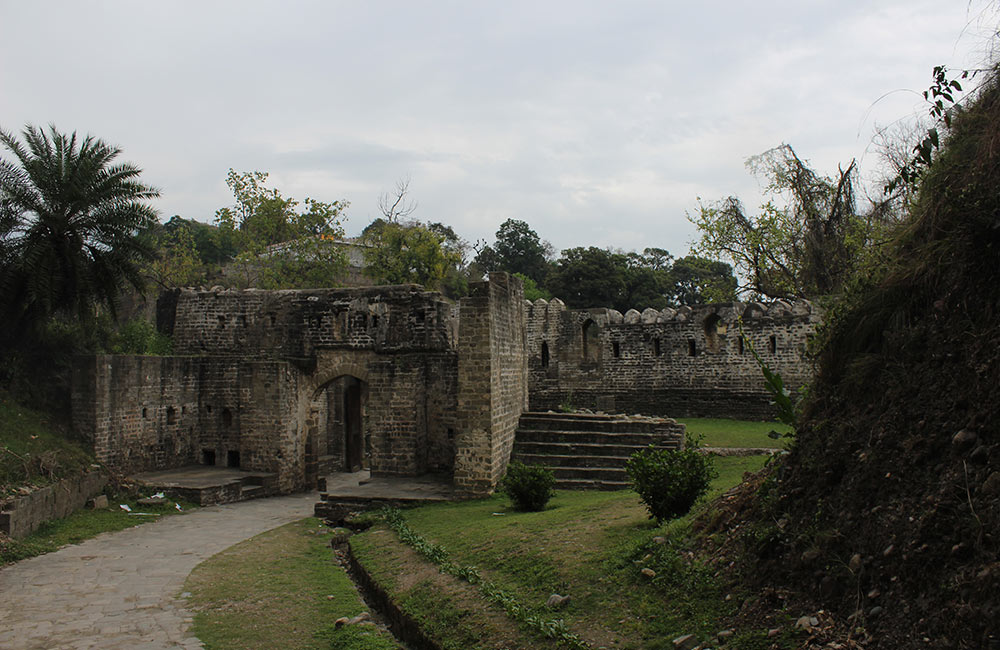 placeimg