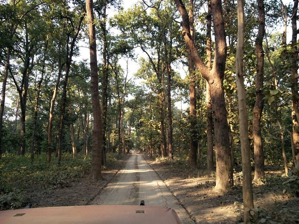 placeimg
