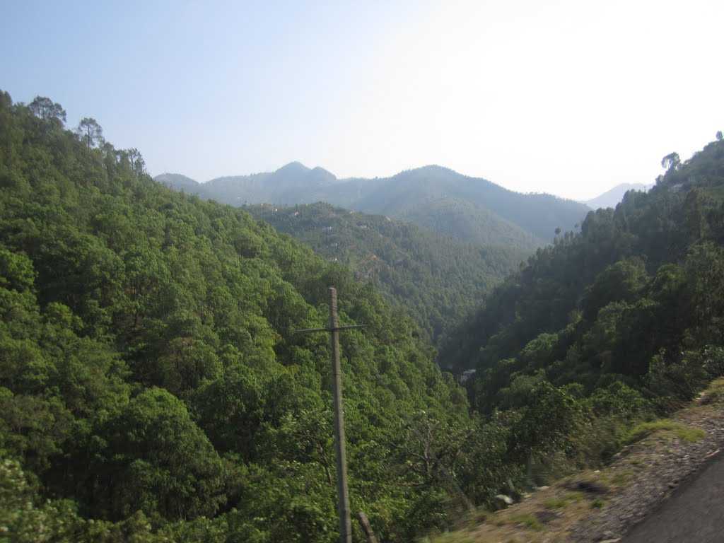 placeimg