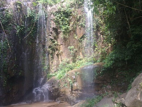 placeimg