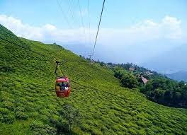 placeimg