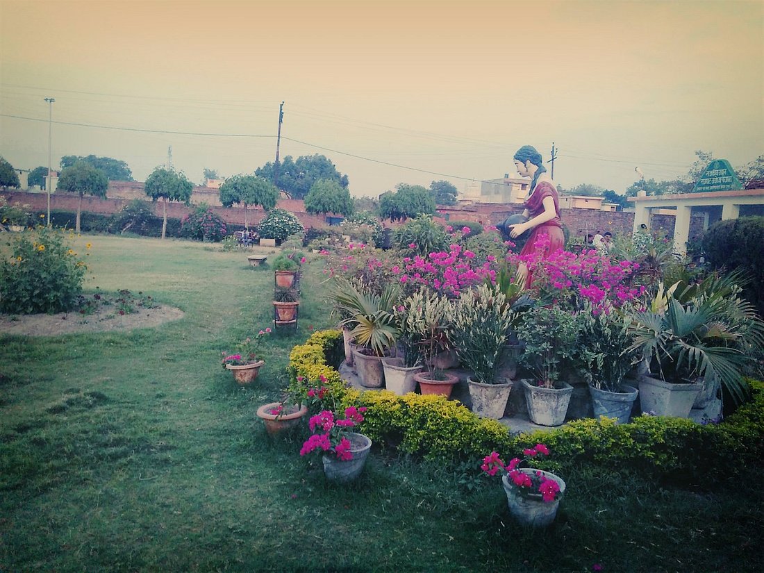 placeimg