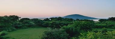 placeimg