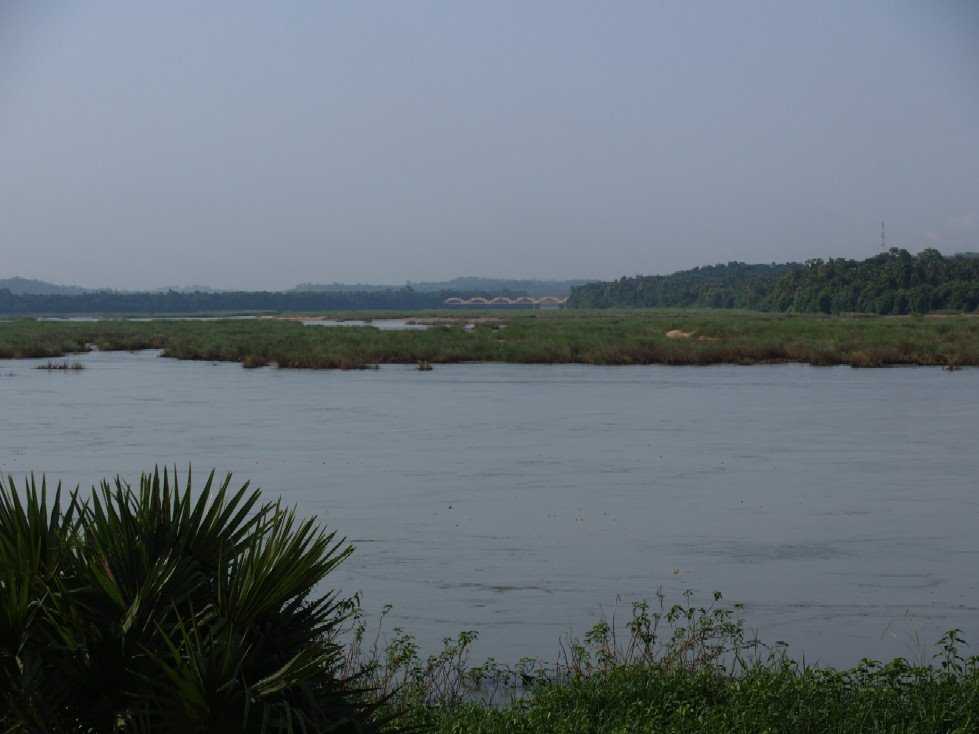 placeimg