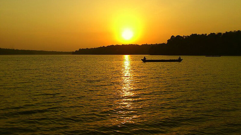 placeimg