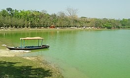 placeimg