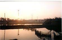placeimg