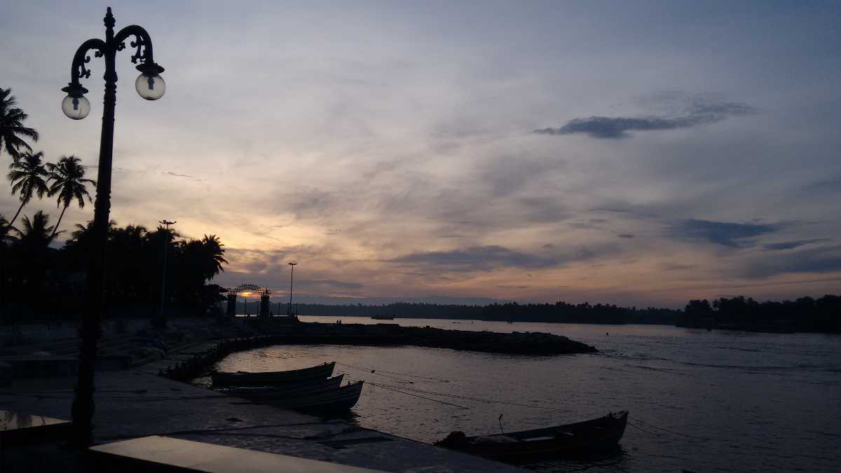 placeimg