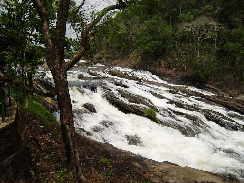 placeimg