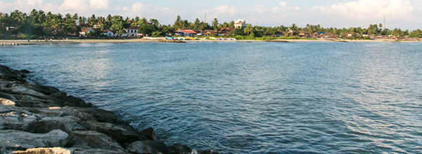 placeimg