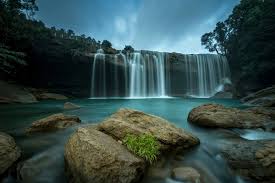 placeimg