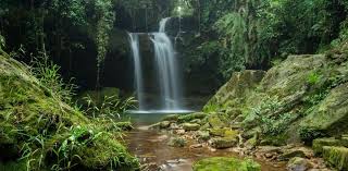 placeimg