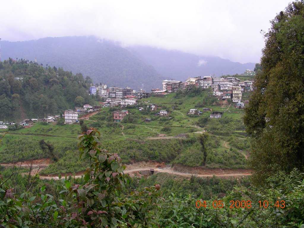 placeimg