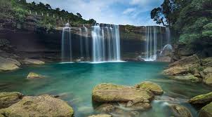 placeimg