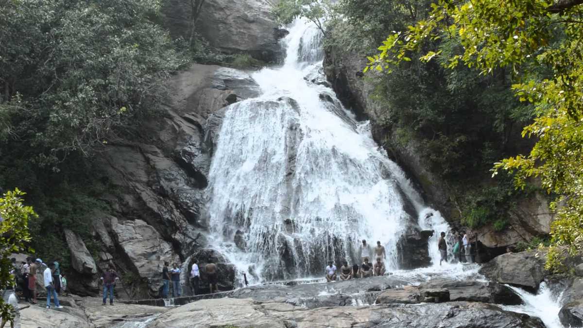 placeimg