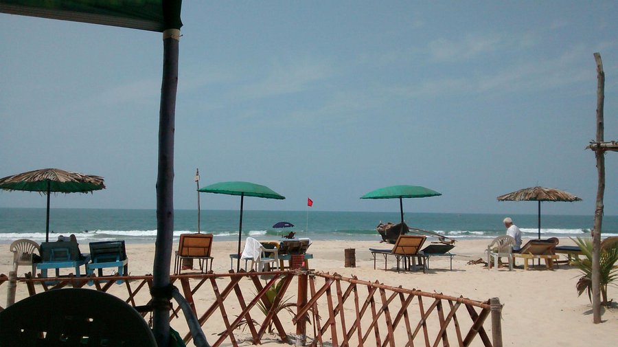 placeimg