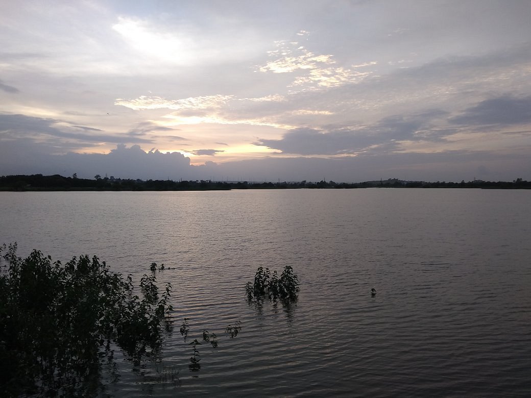 placeimg